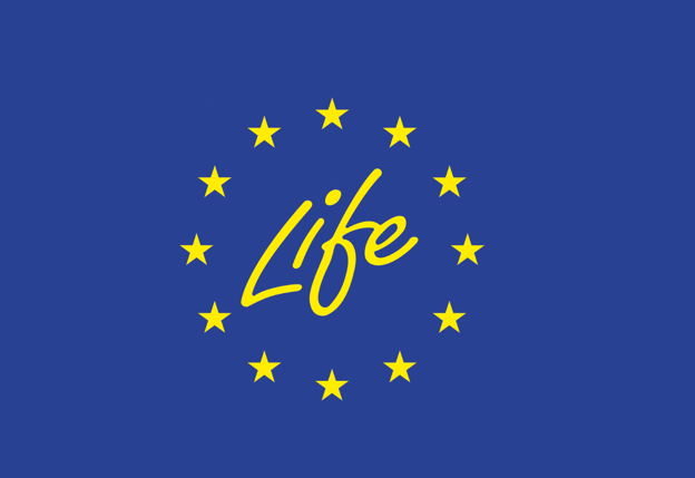 Life Logo