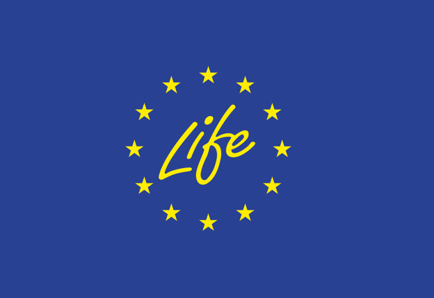 Life Logo