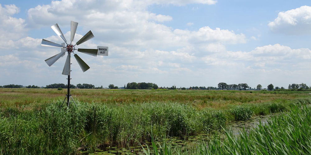 windmolentje in weiland met sloot