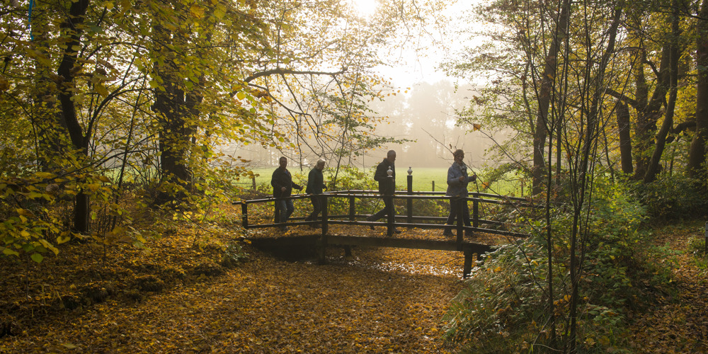 foto van mensen die op brug lopen over sloot door bos 