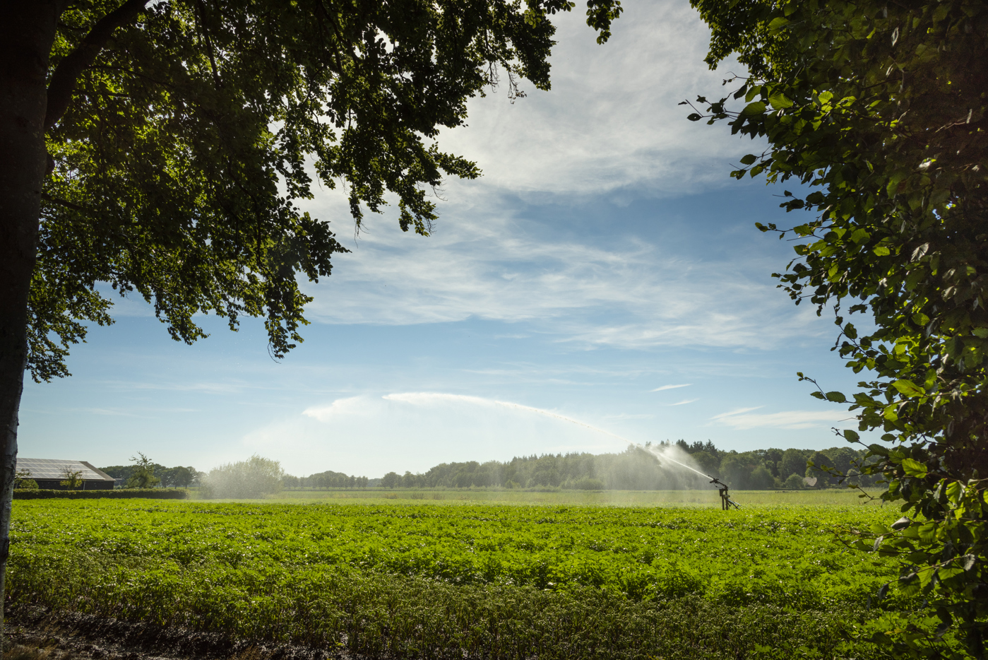 sproeier die sproeit over akkerbouw