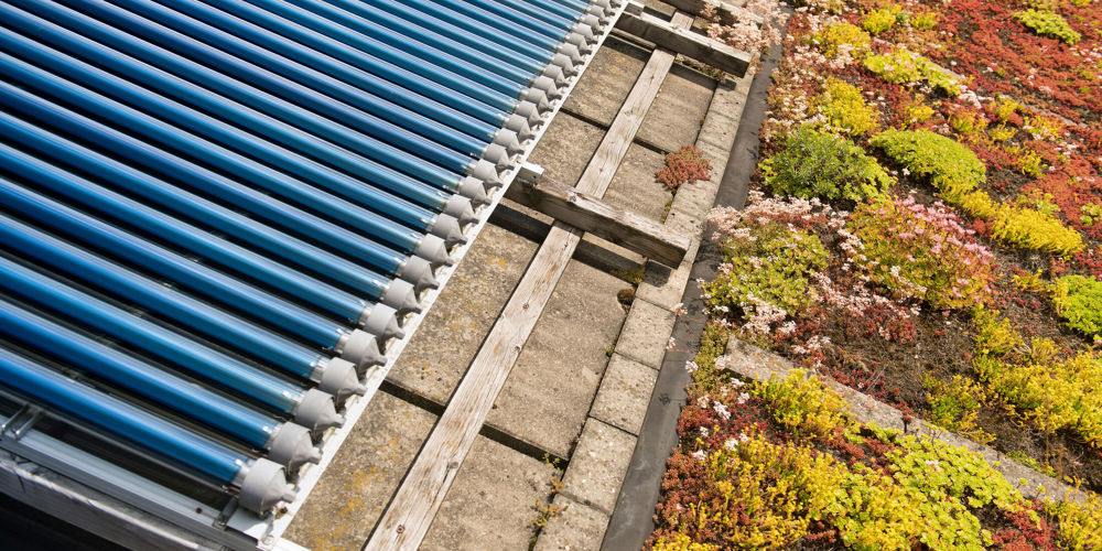 Bouw van iets met blauwe buizen op dak met sedum 