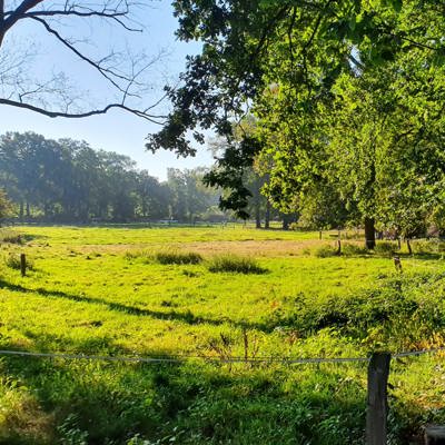 landschap met hek en schrikdraad  omringd door bomen