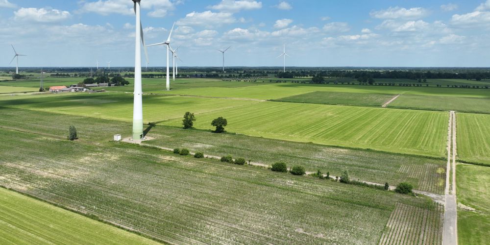 Windmolens in weilanden