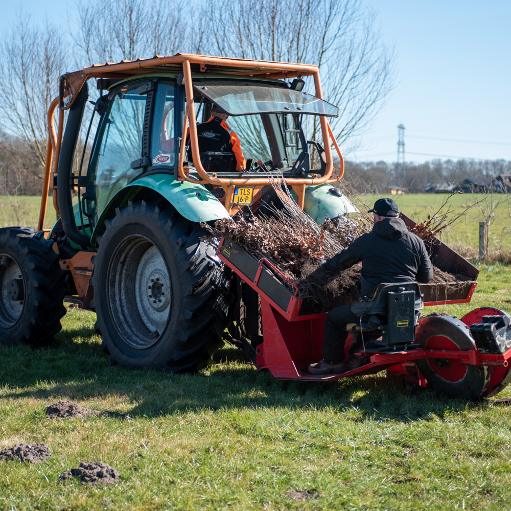 Jonge bomen worden aangeplant met een speciale machine.  