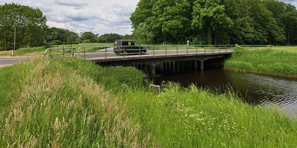 Auto die rijdt over bruggetje tussen groen landschap