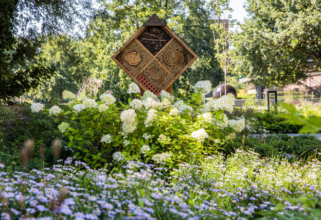 provincie tuin met bloemen en geruitte insectenhotel