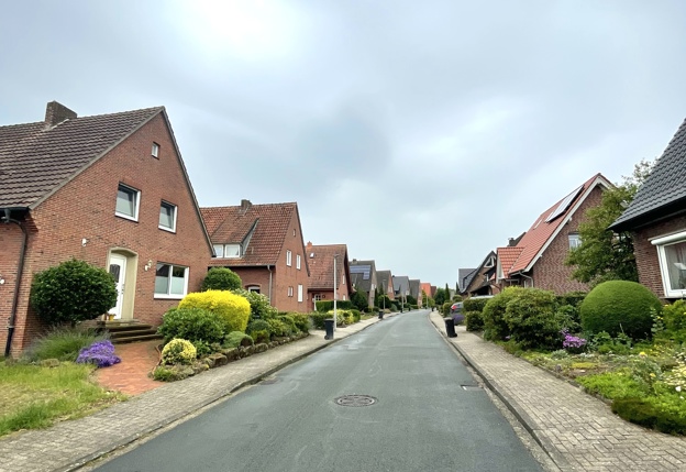 straat met huizen en tuinen voor hun huis